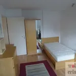 Rent 1 bedroom apartment of 21 m² in Erlangen