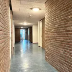 Rent 3 bedroom apartment of 70 m² in Egstraat en omgeving