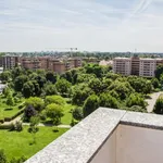 Rent 1 bedroom apartment in Milan