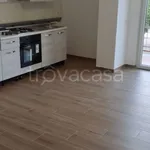 Rent 3 bedroom apartment of 83 m² in Cassino