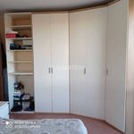 2-room flat via Castello Chiapponi 8, Centro, Rottofreno