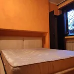 Rent 1 bedroom apartment in Rome