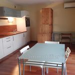 Appartement de 30 m² avec 1 chambre(s) en location à Montpellier