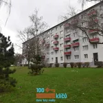 Rent 2 bedroom apartment of 52 m² in Prague