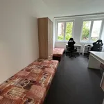 Rent 3 bedroom apartment in Brno