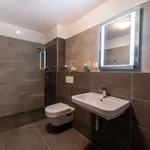 Rent 1 bedroom apartment of 46 m² in Brno