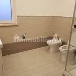 Rent 3 bedroom apartment of 76 m² in Fiumicino