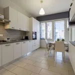 Rent 1 bedroom apartment of 50 m² in bologna