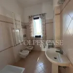 Rent 6 bedroom house of 220 m² in Fonte Nuova