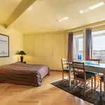 Rent 1 bedroom apartment of 45 m² in Dusseldorf