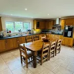 Bungalow to rent in Cilgryman Fawr, Whitland SA34