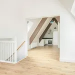 Rent 2 bedroom apartment of 55 m² in Springweg en omgeving Geertebuurt