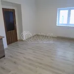 Rent 1 bedroom apartment in Chrudim