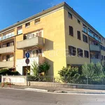 Rent 2 bedroom apartment of 50 m² in Arezzo