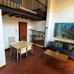 Rent 2 bedroom apartment of 54 m² in Mantova