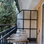 Rent 5 bedroom apartment in Valencia