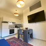 Rent 2 bedroom apartment of 45 m² in Milan