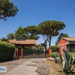 Rent 6 bedroom house of 280 m² in Rome