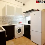 Rent 1 bedroom apartment in Brno