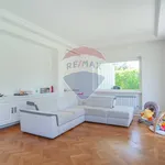 Rent 8 bedroom house of 320 m² in Roma