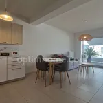 Rent 2 bedroom apartment of 45 m² in Pau