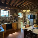 Rent 5 bedroom house of 150 m² in Pescaglia