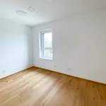 Rent 4 bedroom apartment of 130 m² in Linz