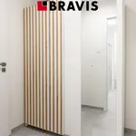 Pronajměte si 1 ložnic/e byt o rozloze 35 m² v Brno