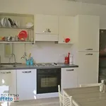 Rent 3 bedroom apartment of 100 m² in Bologna