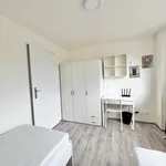 Rent 1 bedroom apartment in Brno