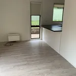 Rent 3 bedroom house in  Armidale NSW 2350                        