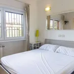 Rent 1 bedroom apartment in rome