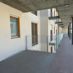 Rent 3 bedroom apartment of 113 m² in Turin