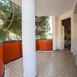 Rent 3 bedroom apartment of 60 m² in Comacchio