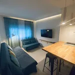 Rent 1 bedroom apartment of 60 m² in madrid