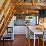 Rent 2 bedroom apartment of 45 m² in Florence