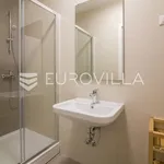 Rent 3 bedroom apartment of 140 m² in Zagreb