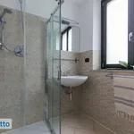 Rent 2 bedroom apartment of 50 m² in Turin