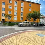 Rent 2 bedroom apartment in Pardubice