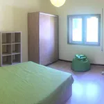 Rent a room in coimbra