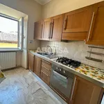 Rent 2 bedroom apartment of 50 m² in Velletri