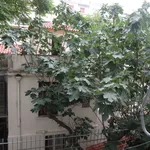 Ενοικίαση 1 υπνοδωμάτια διαμέρισμα από 47 m² σε Νεάπολη Εξαρχείων (Αθήνα - Κέντρο)