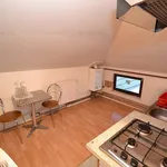 Rent 1 bedroom apartment of 26 m² in Timisoara