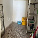 Rent 3 bedroom apartment of 70 m² in Frosinone