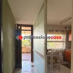 Rent 2 bedroom apartment of 50 m² in Campobasso