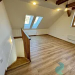 Rent 4 bedroom apartment of 115 m² in České Budějovice