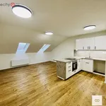 Rent 3 bedroom apartment of 79 m² in Trhový Štěpánov