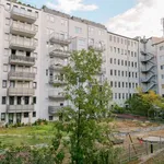 Rent 1 bedroom apartment of 38 m² in berlin