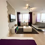 Miete 1 Schlafzimmer wohnung von 39 m² in Frankfurt