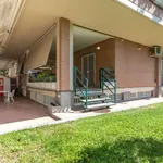 Rent 1 bedroom apartment in rome